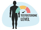 тестостерон при мъжете